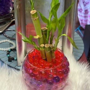 Custom liquid crystal bamboo arrangement